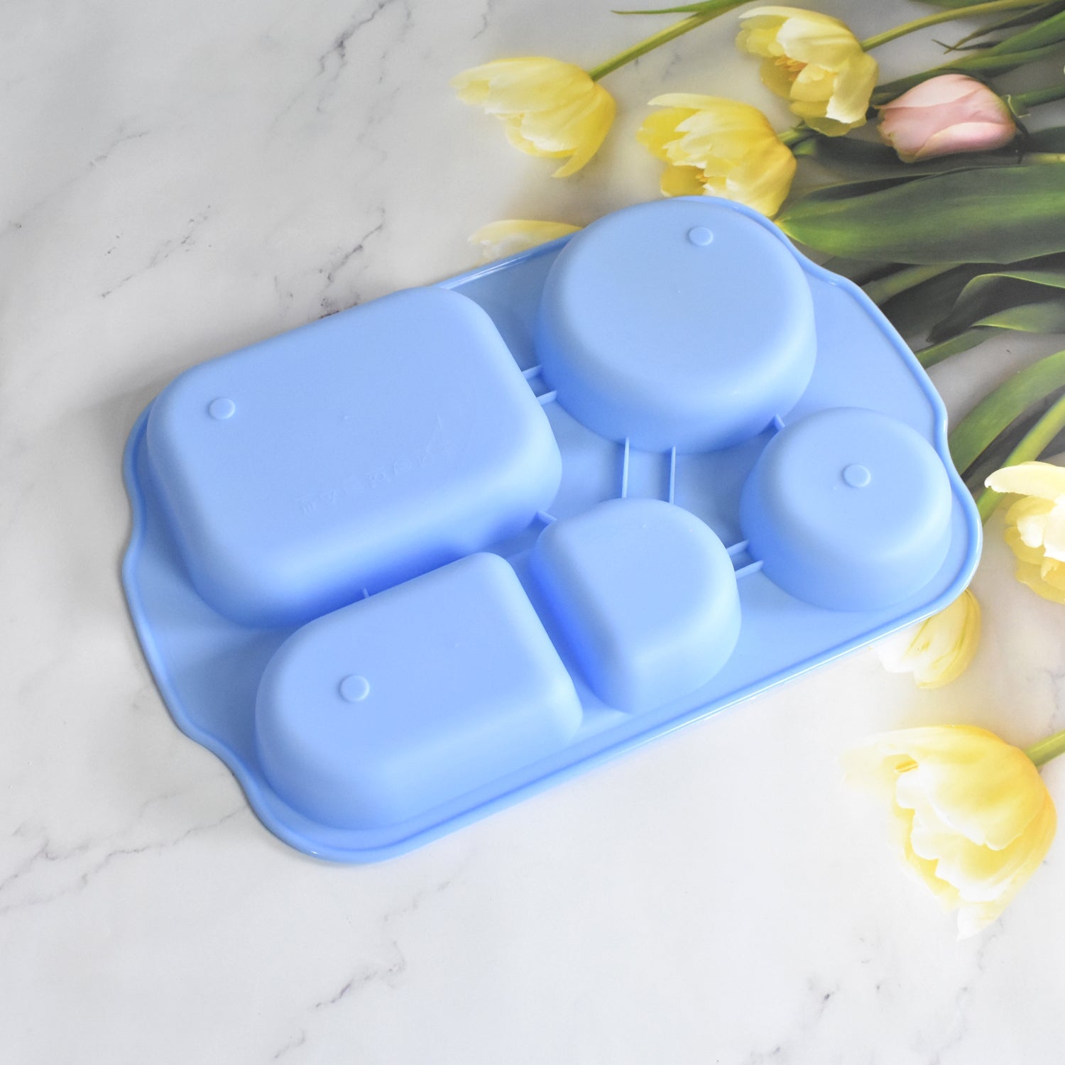 Unbreakable Plastic Food Plates / Biodegradable 5 Compartment Square Plate for Food Unbreakable Plastic Food Plates / Biodegradable 5 Compartment Square Plate for Food